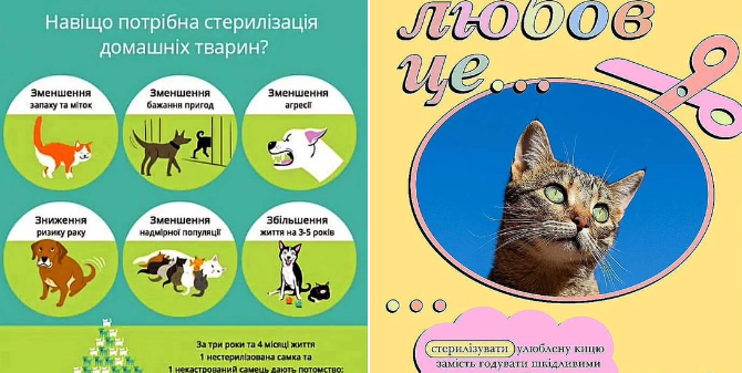 Що таке стерилізація?