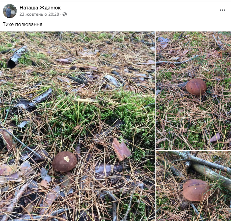 Польовики у поліських лісах