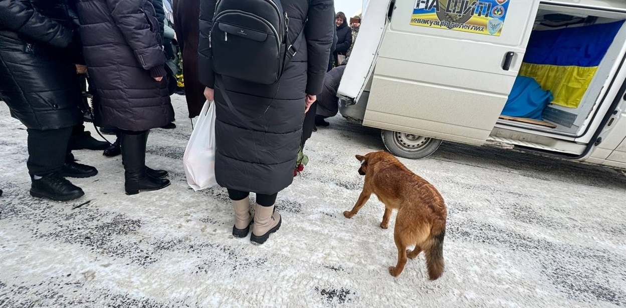 Пес-безхатько зустрічає і проводить загиблих героїв у Володимирці