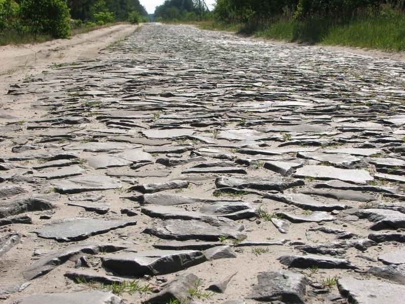 Сошейка й сьогодні зустрічається у нас в районі, часом її стан кращий, ніж у асфальтованої дороги