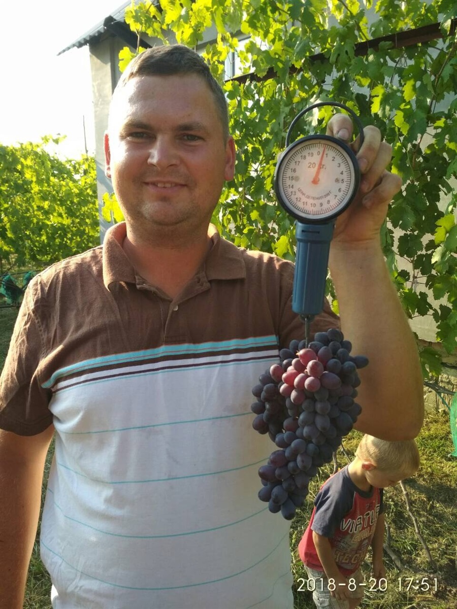 Василь Чугай охоче демонструє свій врожай