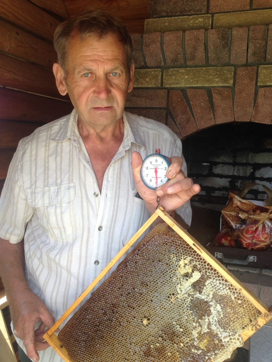 Вага рамки коливається. Все залежить від квітконосів і старанності бджіл 