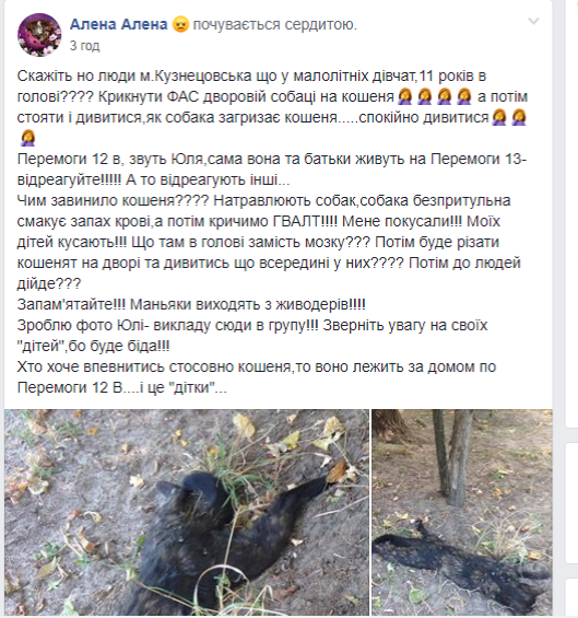 Скріншот публікації з соцмереж