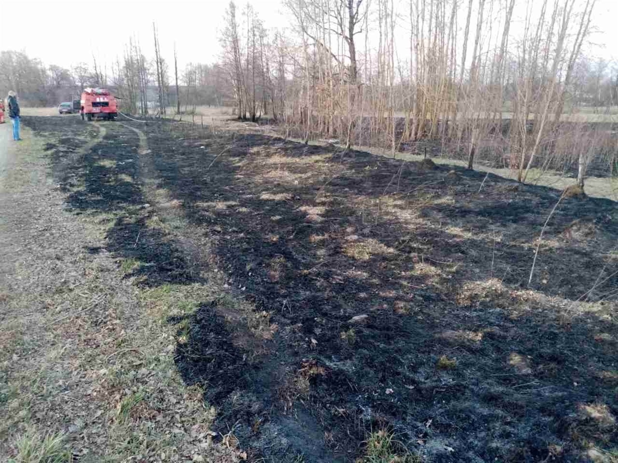 Фото з місця події. 