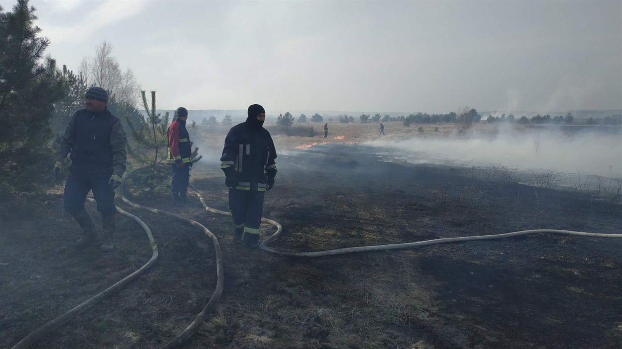 Рятувальники та лiсiвники гасят пожежу на полi та окраiнi лiсу