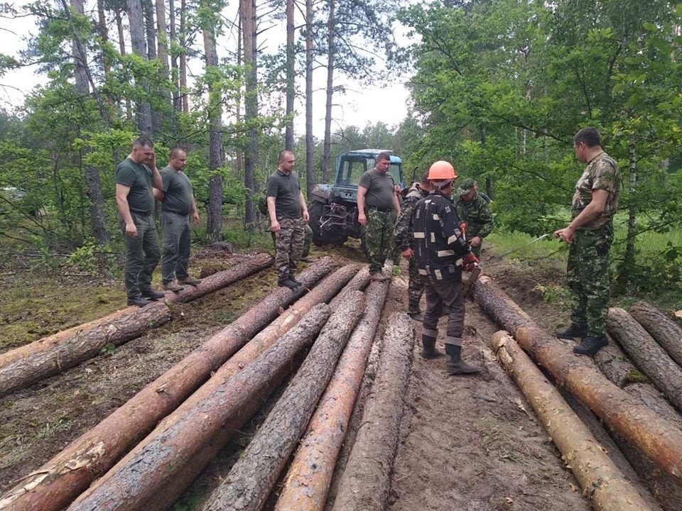 Робочий момент із життя лісівників
