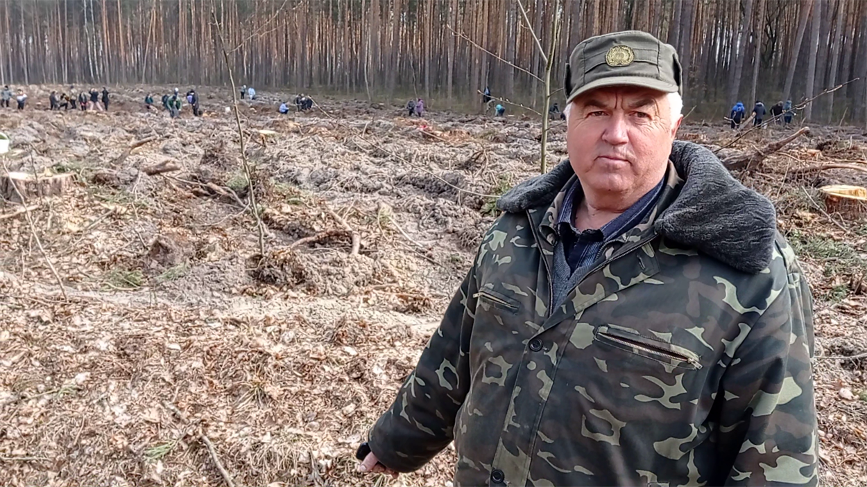 Микола Петрук, майстер лісу