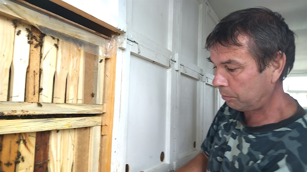Олександр Ємельянчик опікується пасікою 