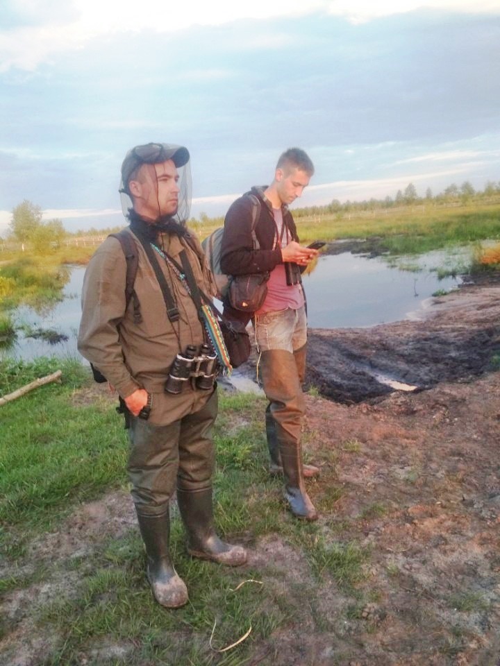 Наслух баранців