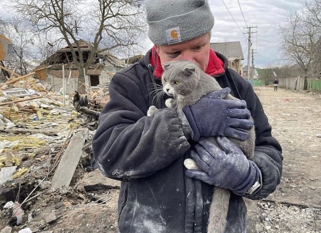 Будинок Ігора Можаєва у Мархалівці зруйнували російські військові. Під обстрілами загинула його дружина, донька і сестра. Але він знайшов живим свого кота.