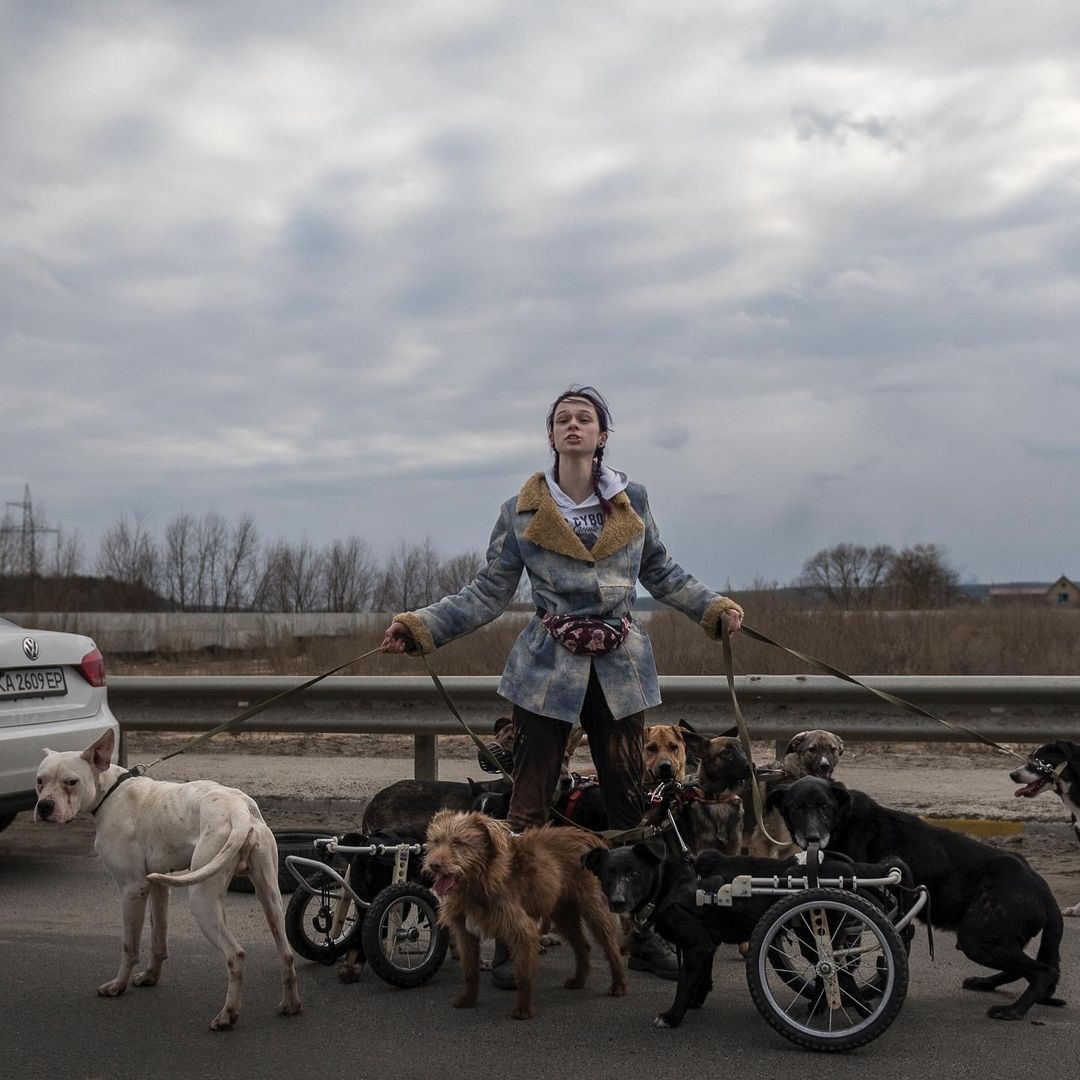 На фото волонтерка, яка вртяувала собак з інвалідністю з Ірпеня.
