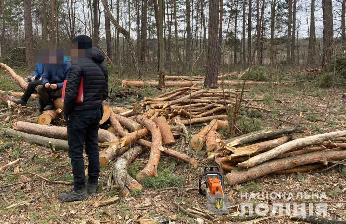 Кідри