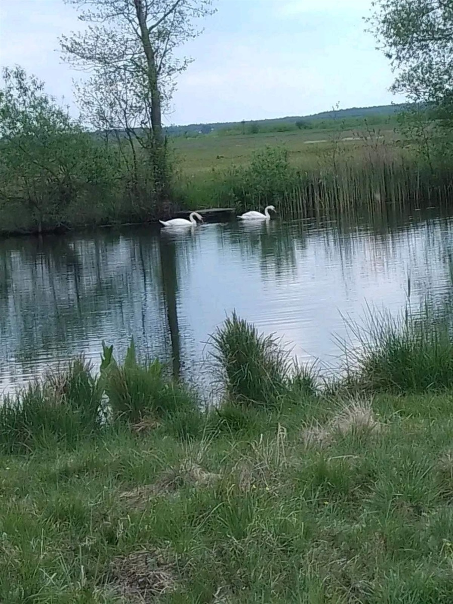 Природа там чудова!