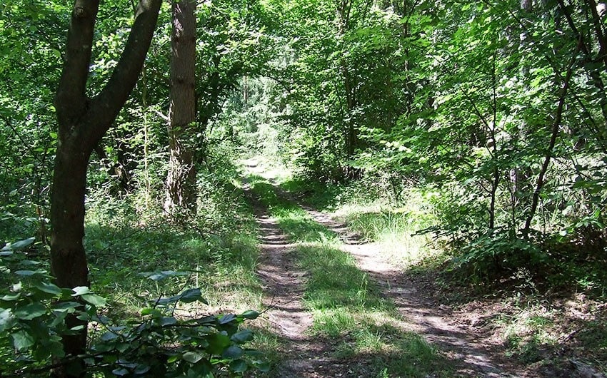 Так виглядає зараз село Паросля