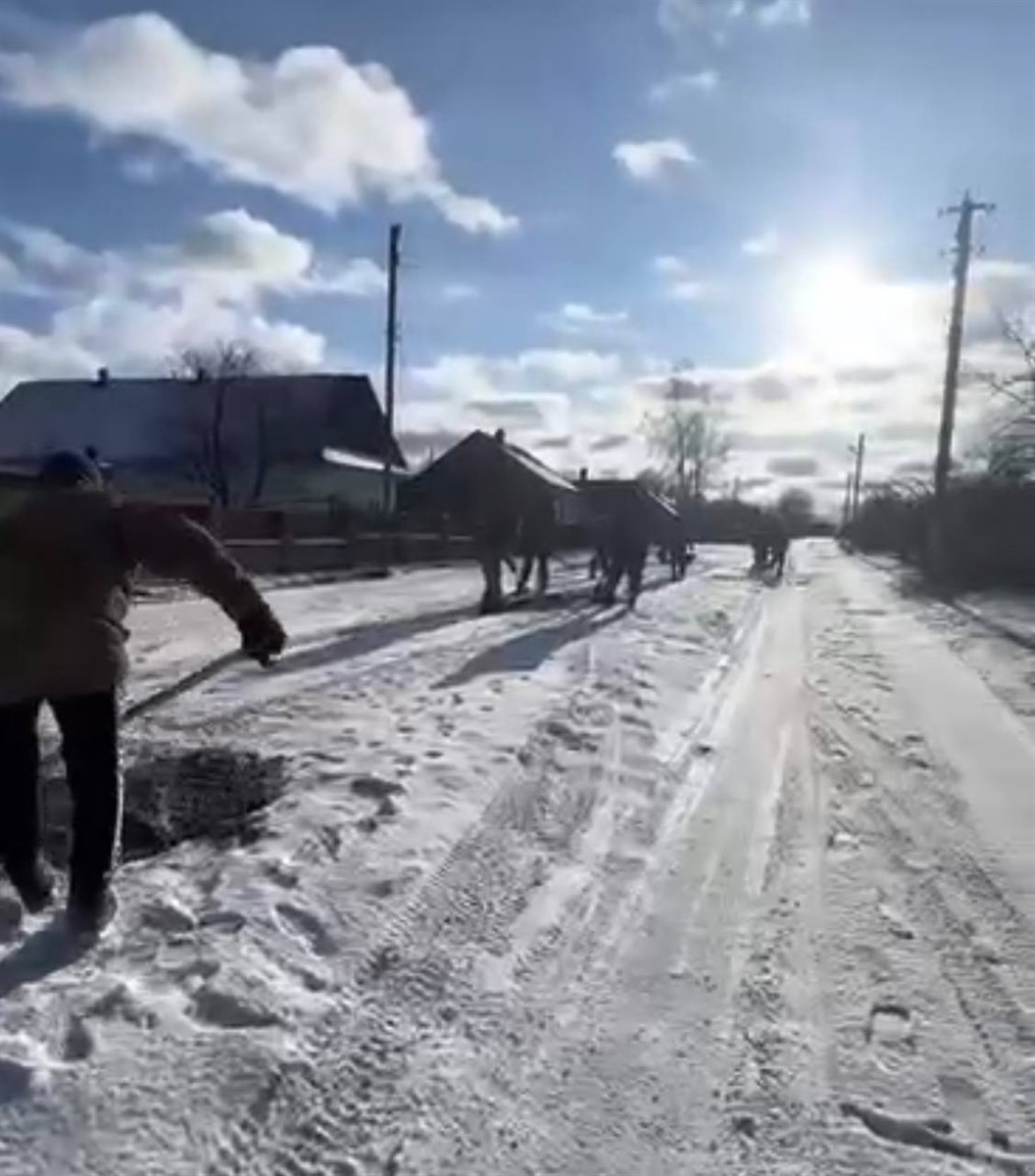 Коли громада згуртована: жителі Каноницької громади залатали ямки на стратегічній дорозі