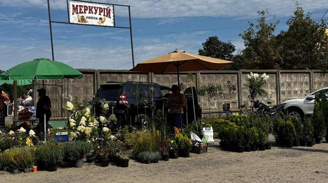 Ринок "Меркурій" у Володимирці в п'ятницю